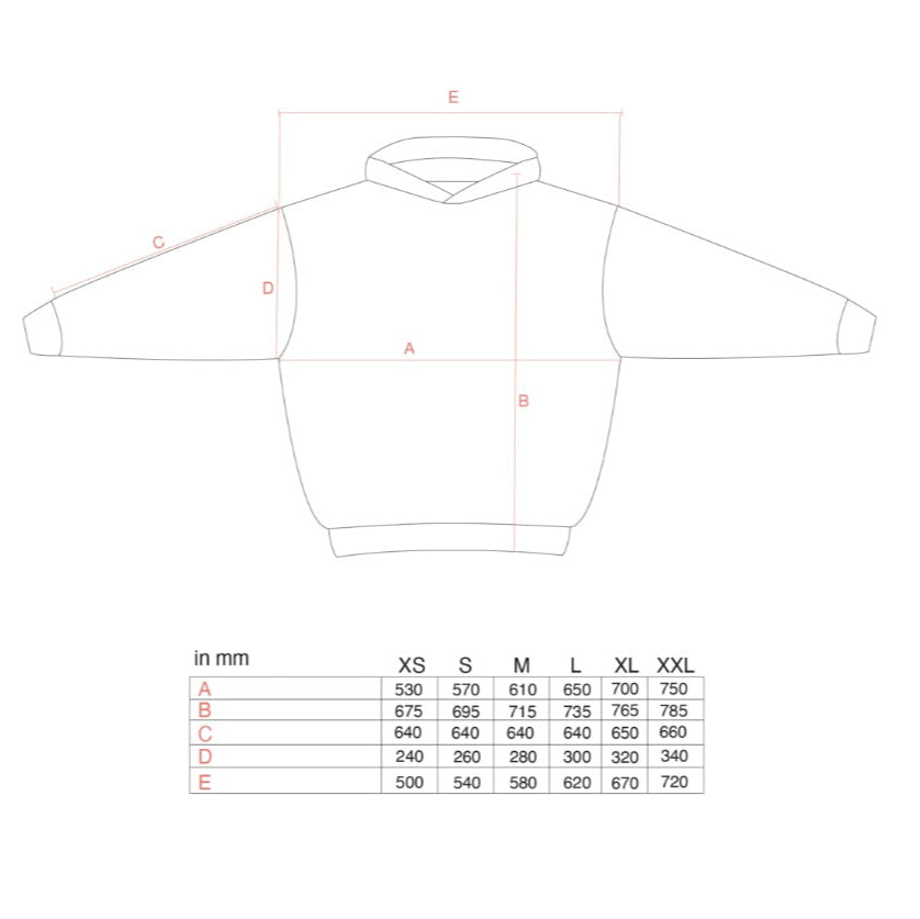 THE EVERYDAY HOODIE - ASH GREY